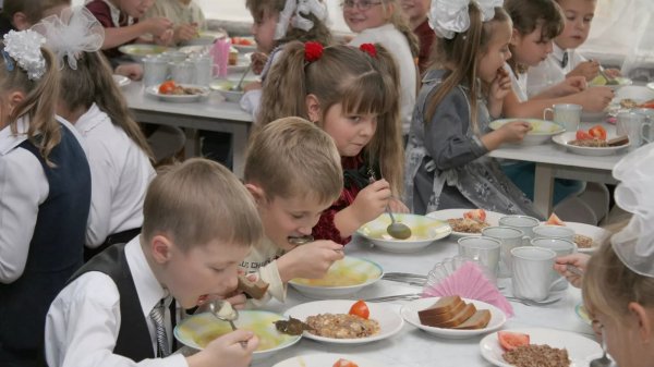 В московских школах введут систему прохода и питания по карточкам