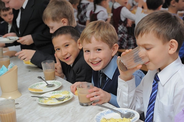 Основы здорового питания начнут изучать школьники Ростовской области