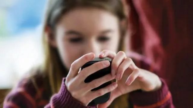 Мобильное приложение для школьных дневников появится в Приморье в декабре